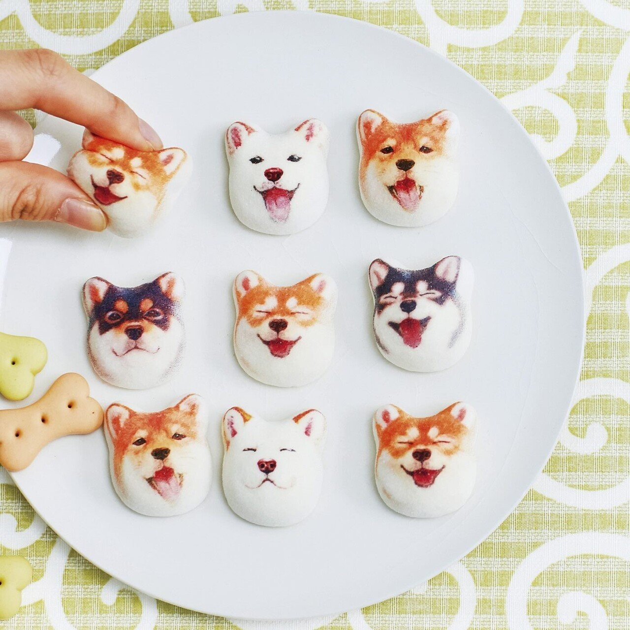 可愛すぎる！柴犬のお菓子「柴犬ほうずい」をご紹介( *´艸｀)｜Miico