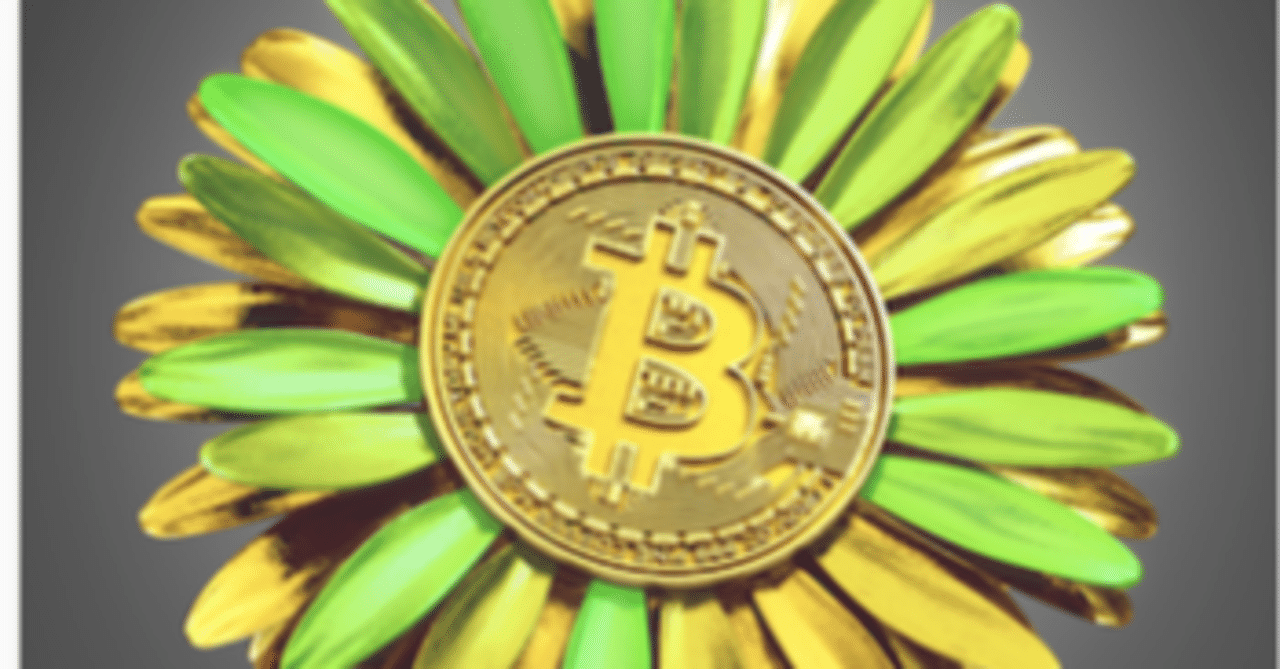 わずか1ヶ月でNo.1】話題のBTC Flowerの魅力とは？｜JI.slash