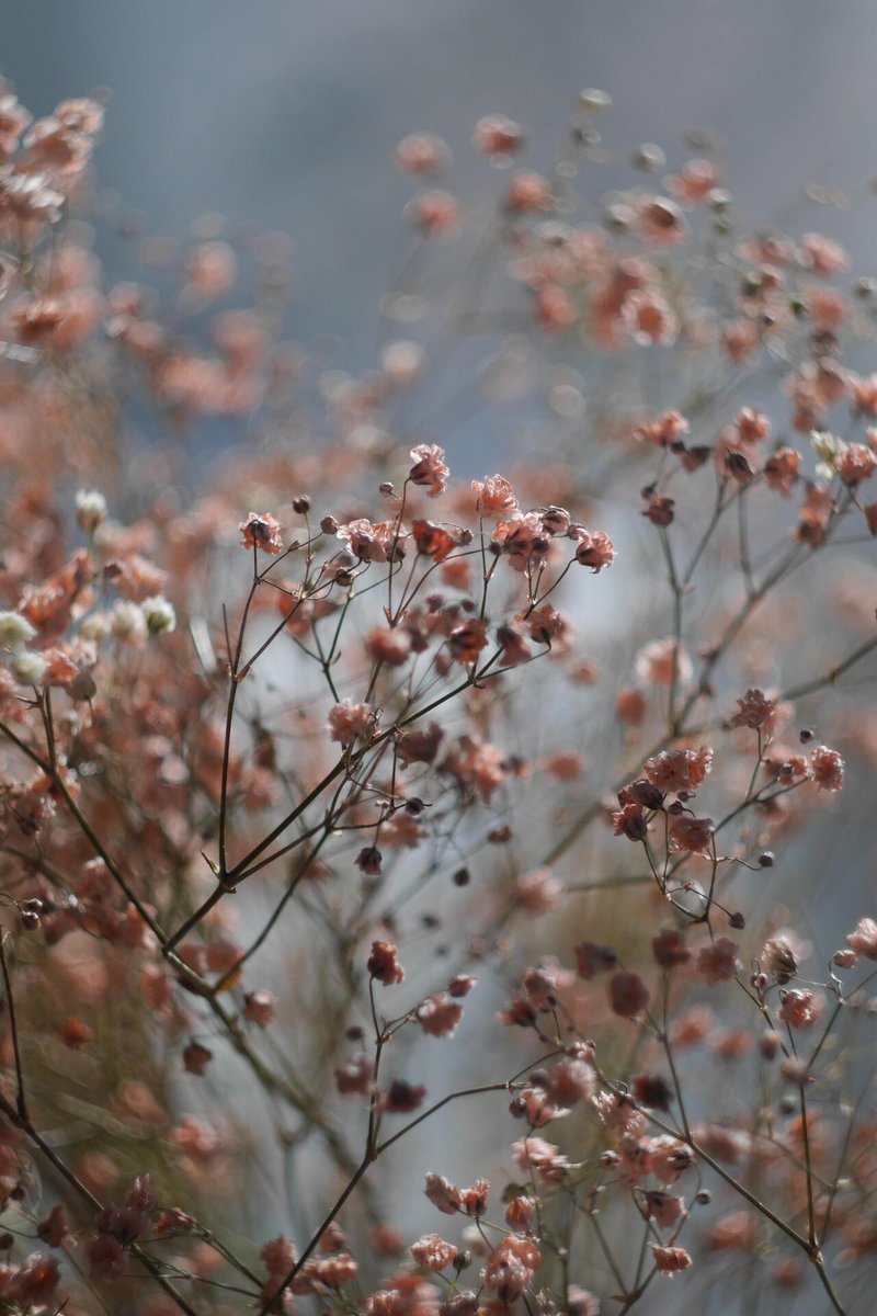 画像1を拡大表示