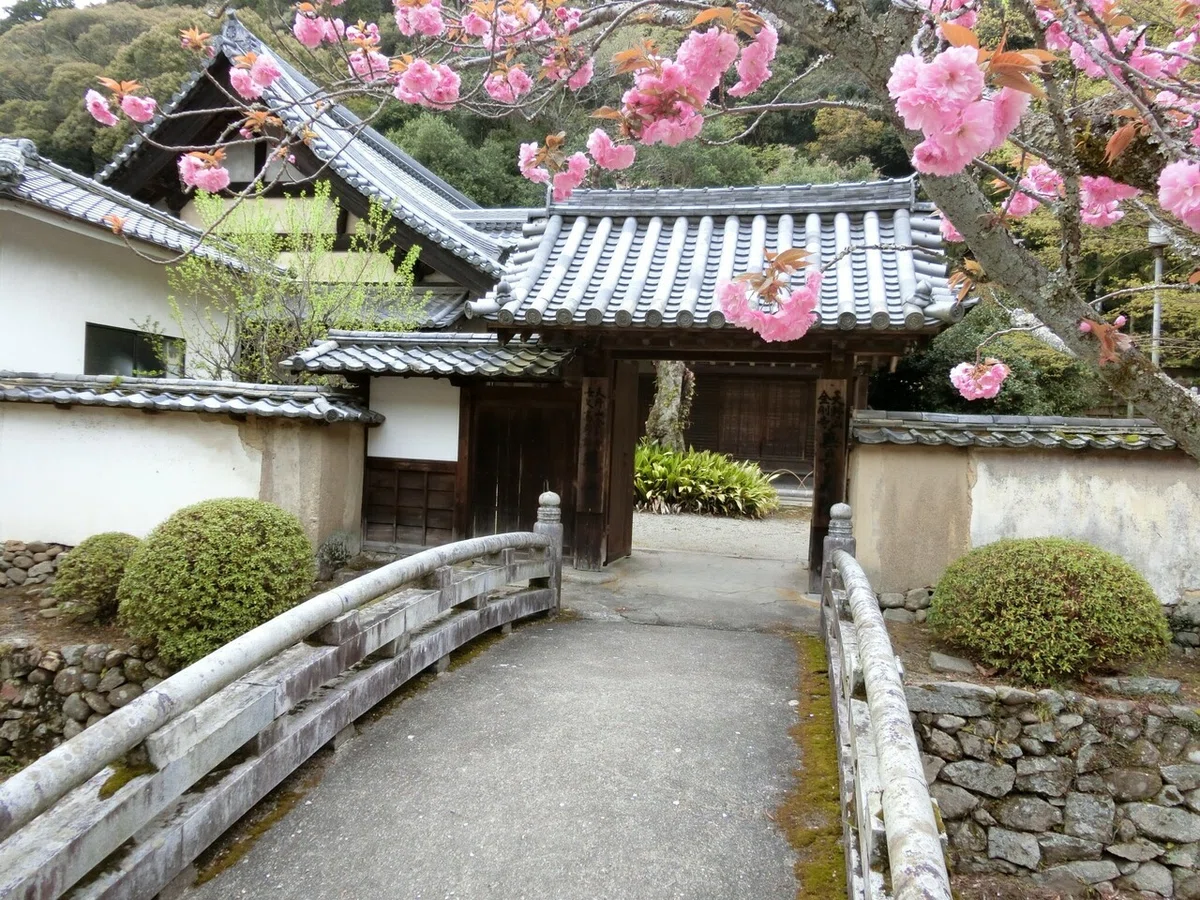画像6