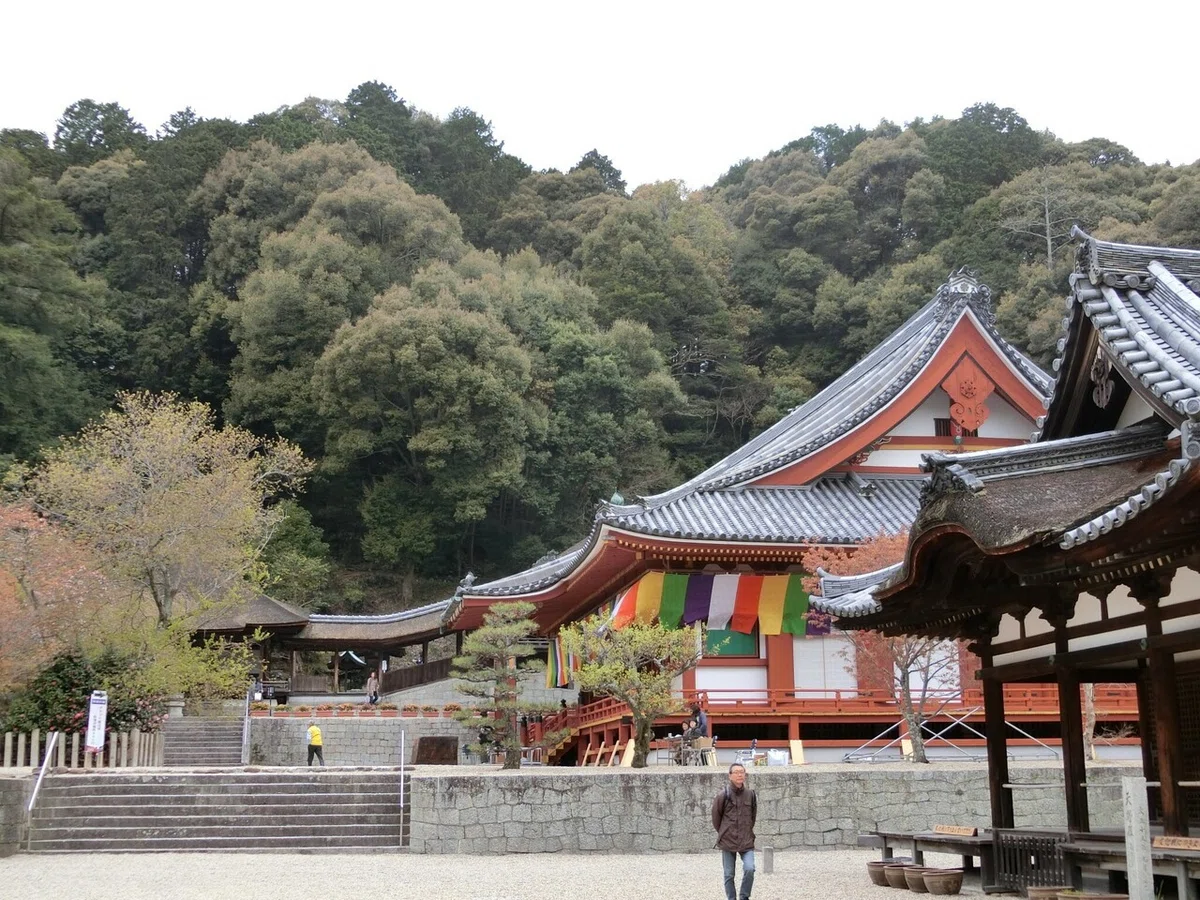 画像8