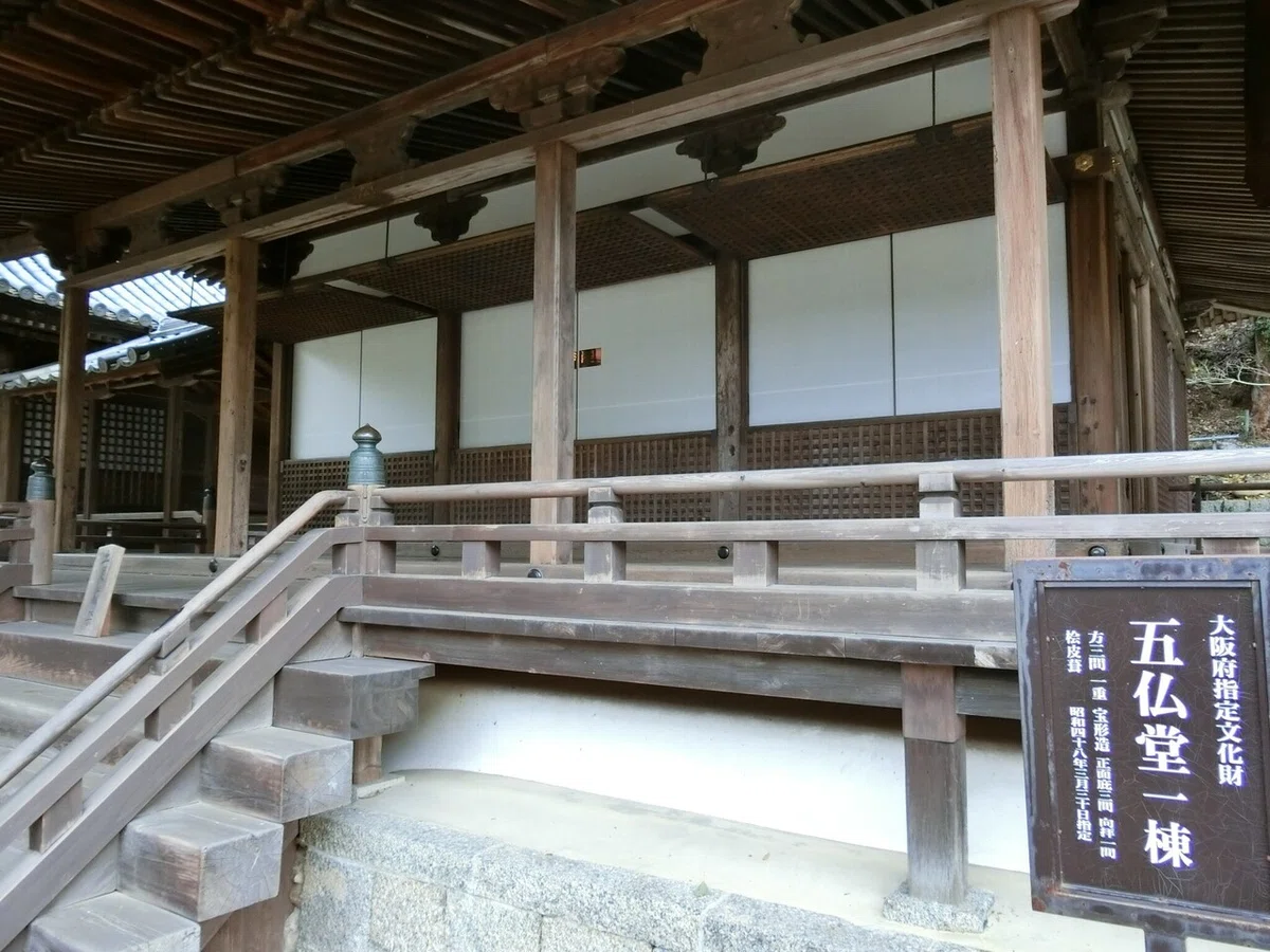 画像9