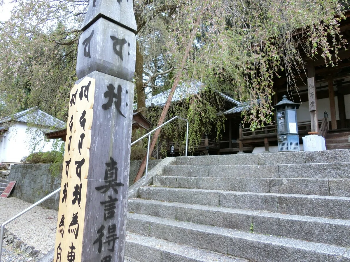 画像11