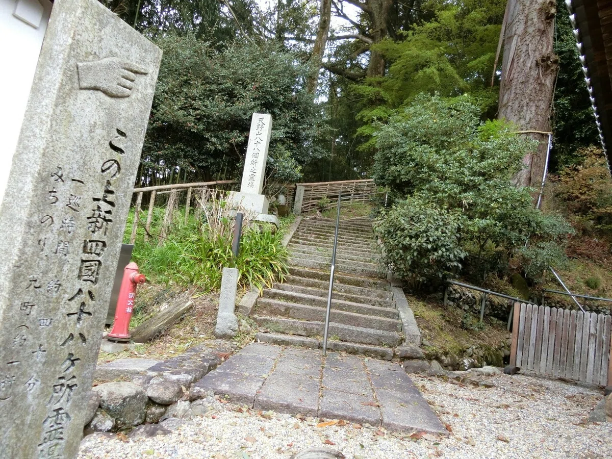 画像14