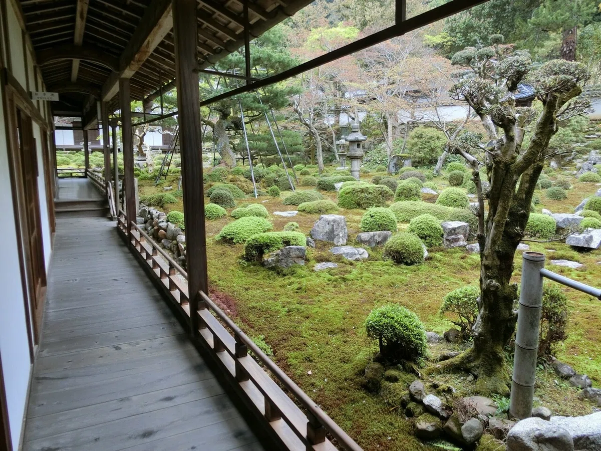 画像19