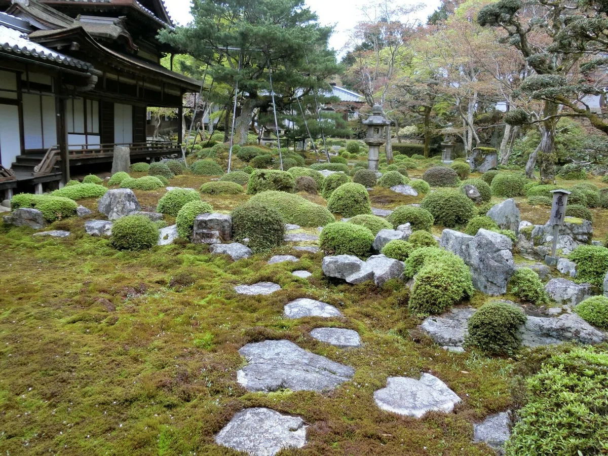 画像21