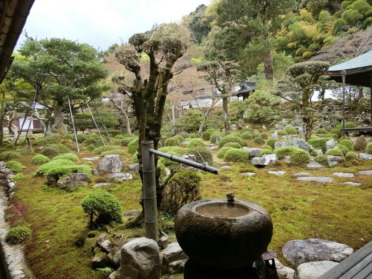 画像27