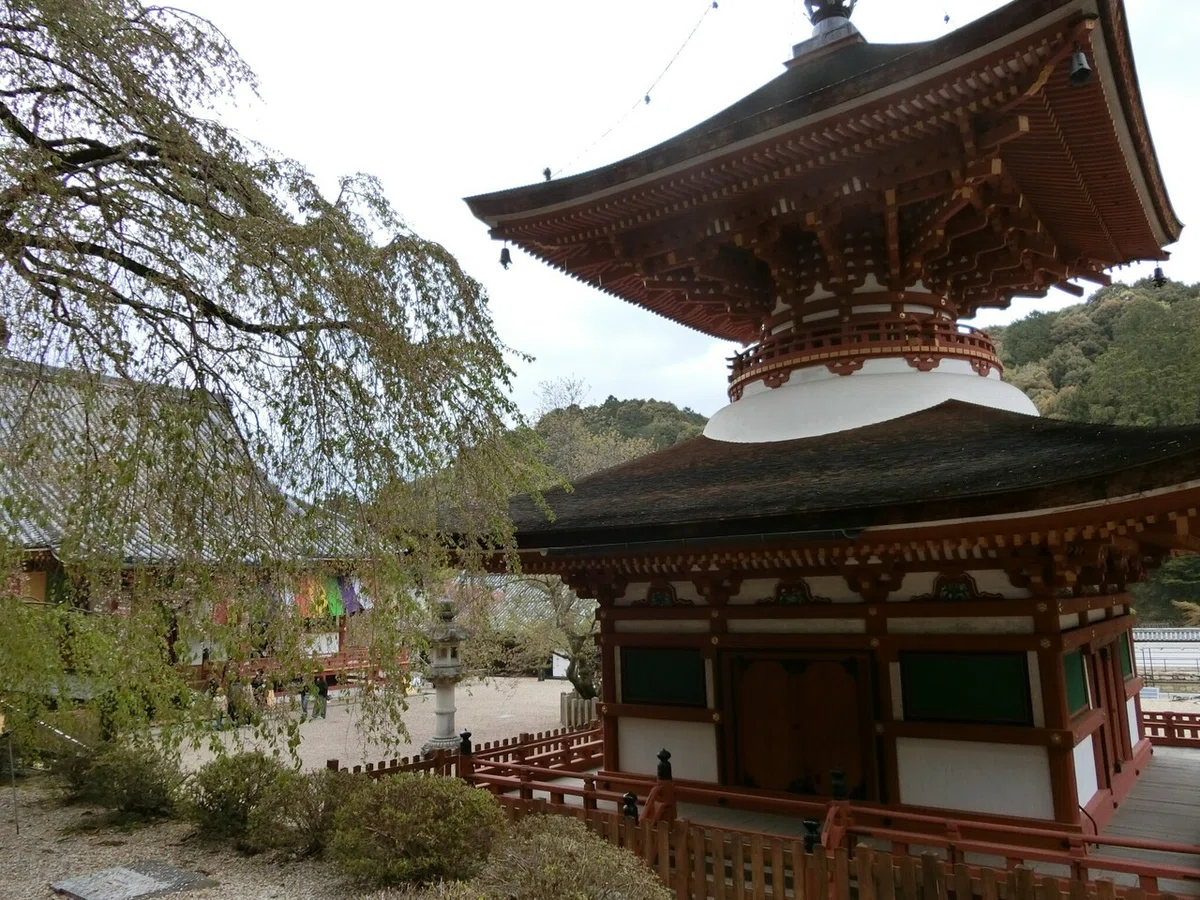 画像30
