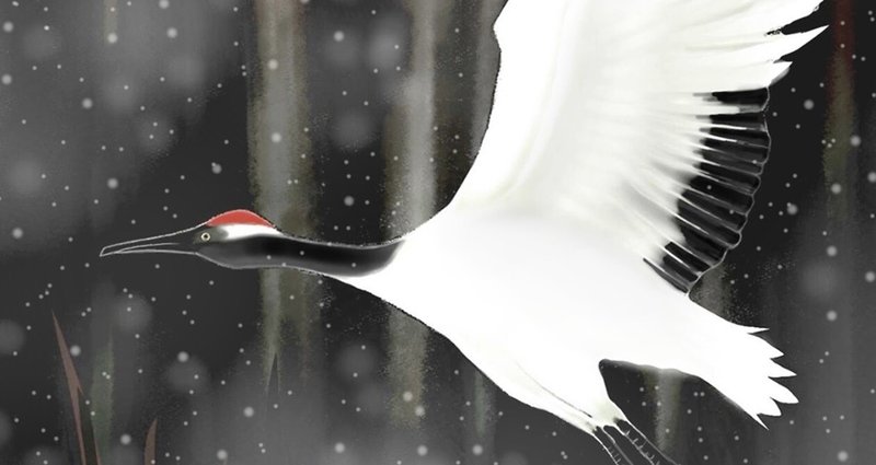 鳥のイラスト タンチョウ 豊嶋 祐三 Note