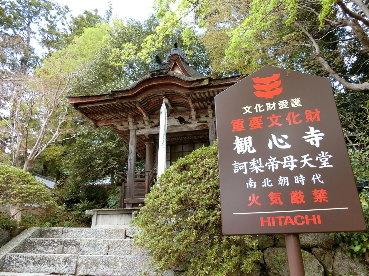 画像6