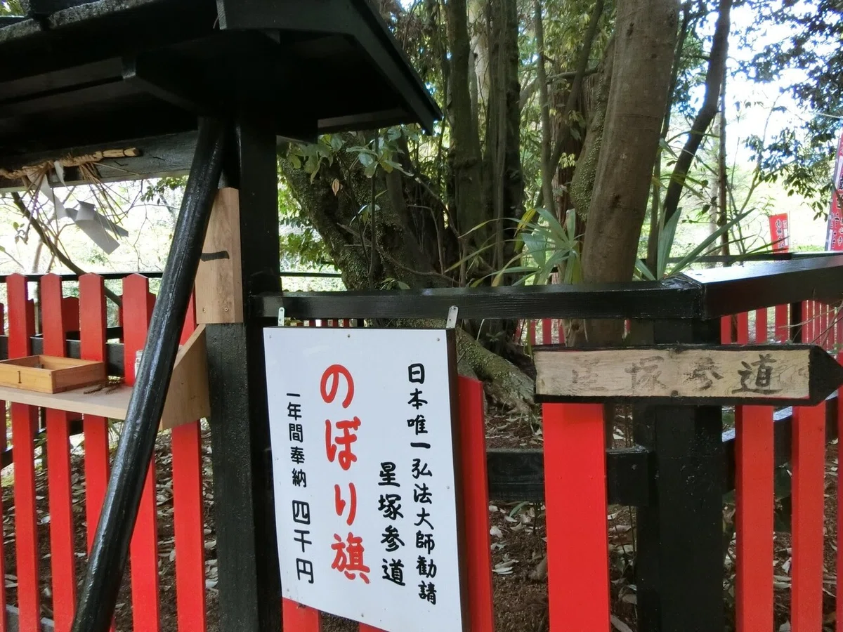 画像9