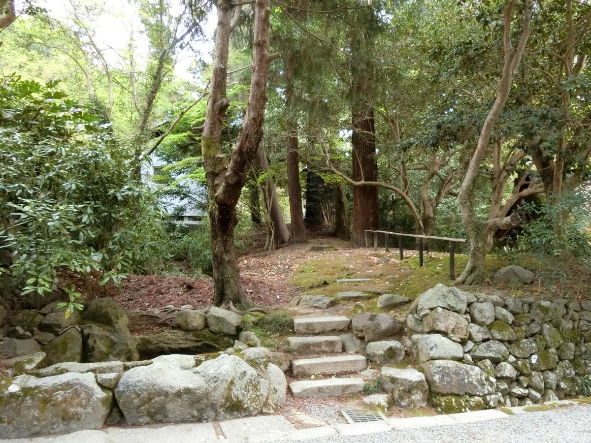画像10