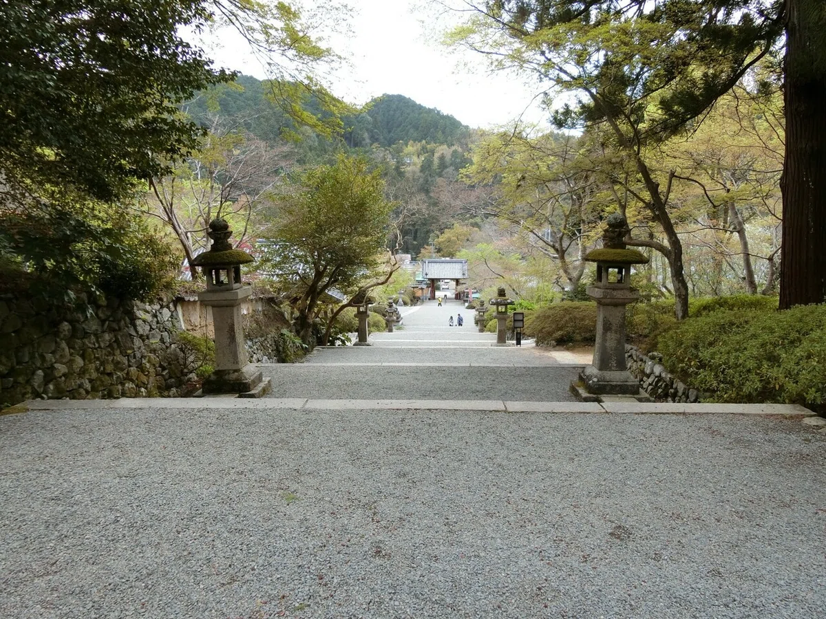 画像11