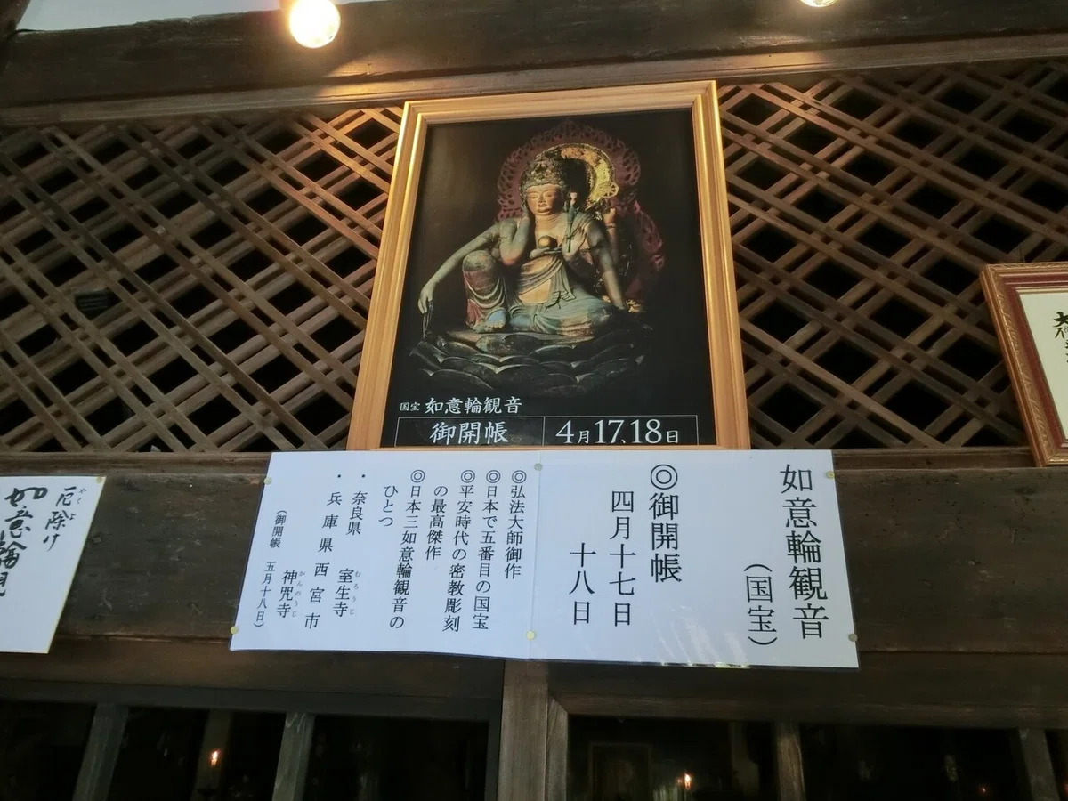 画像14