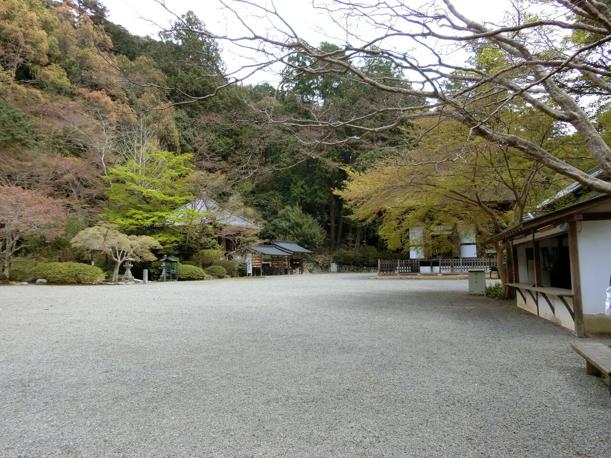 画像17