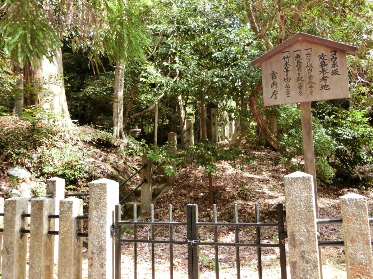 画像22