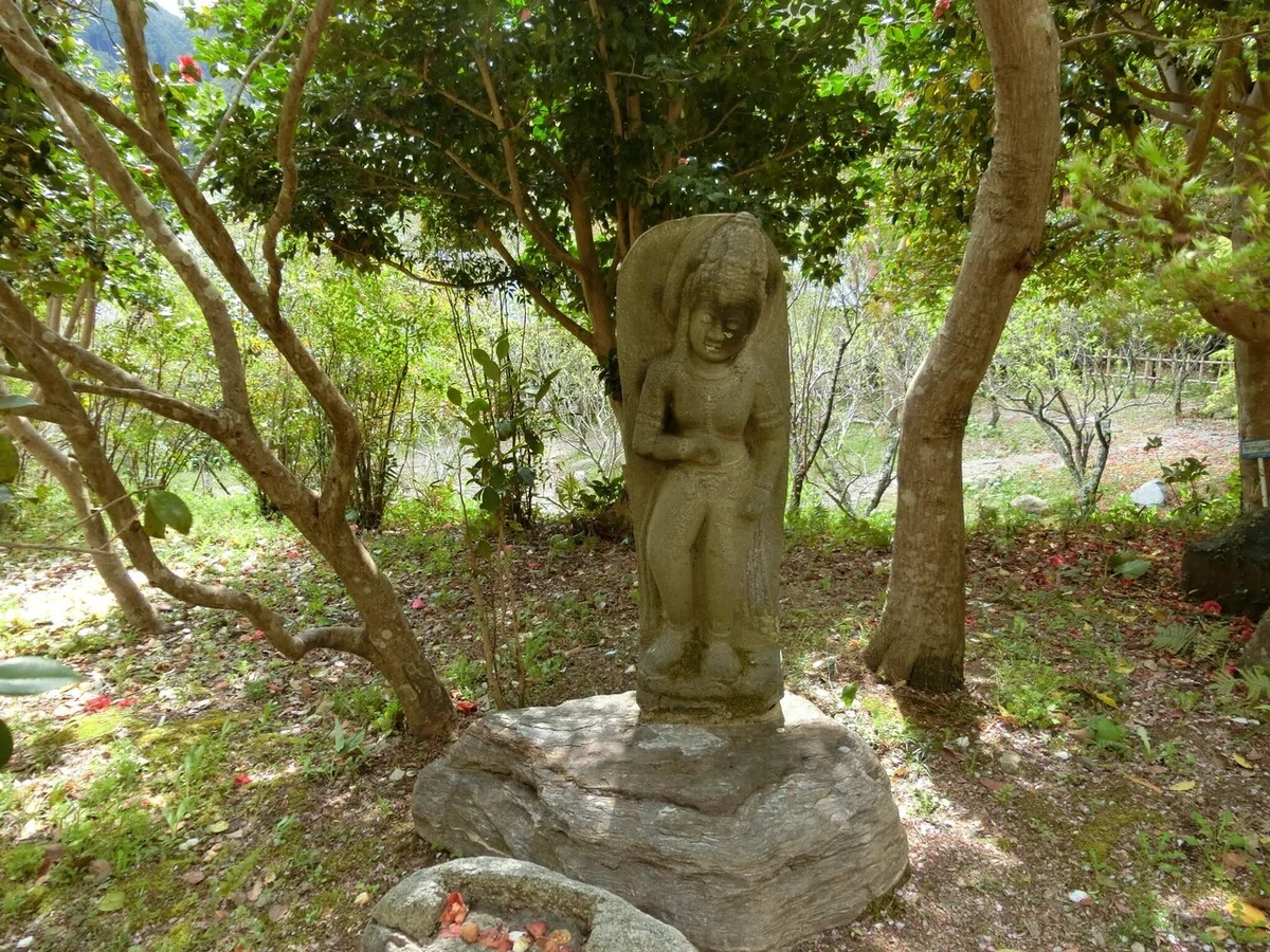 画像31