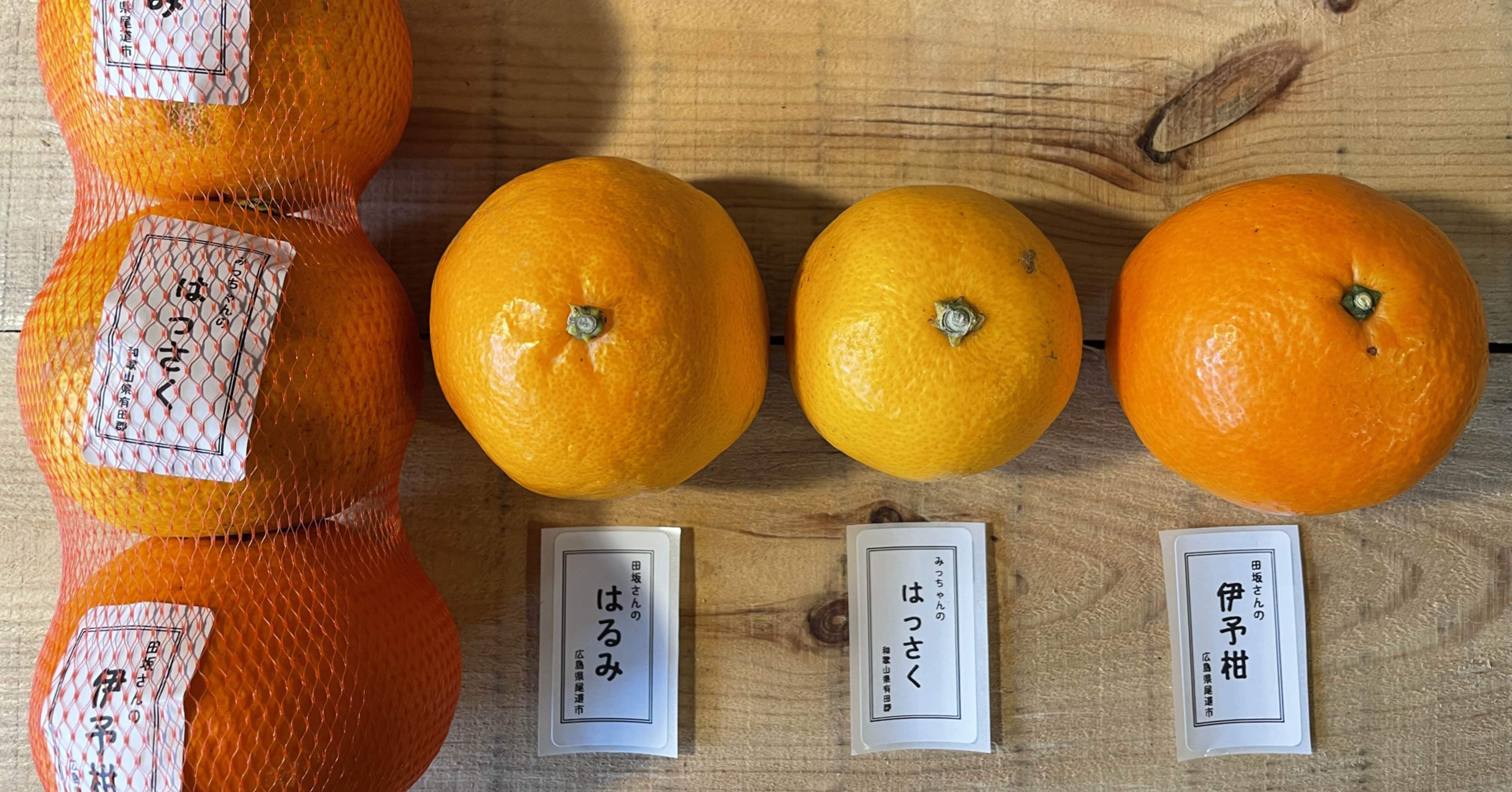 01bb21f5a0b0f53a6746ce6dda1c6c