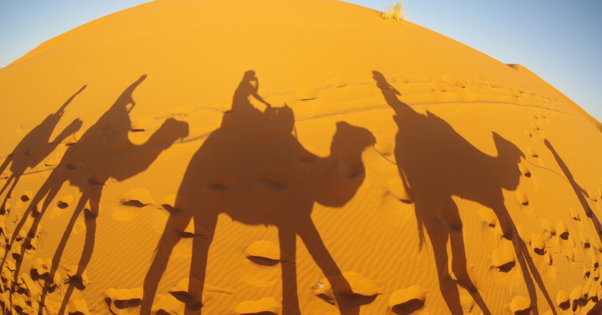 クイーン ディズニー考察6 アラジン １ みみ Note