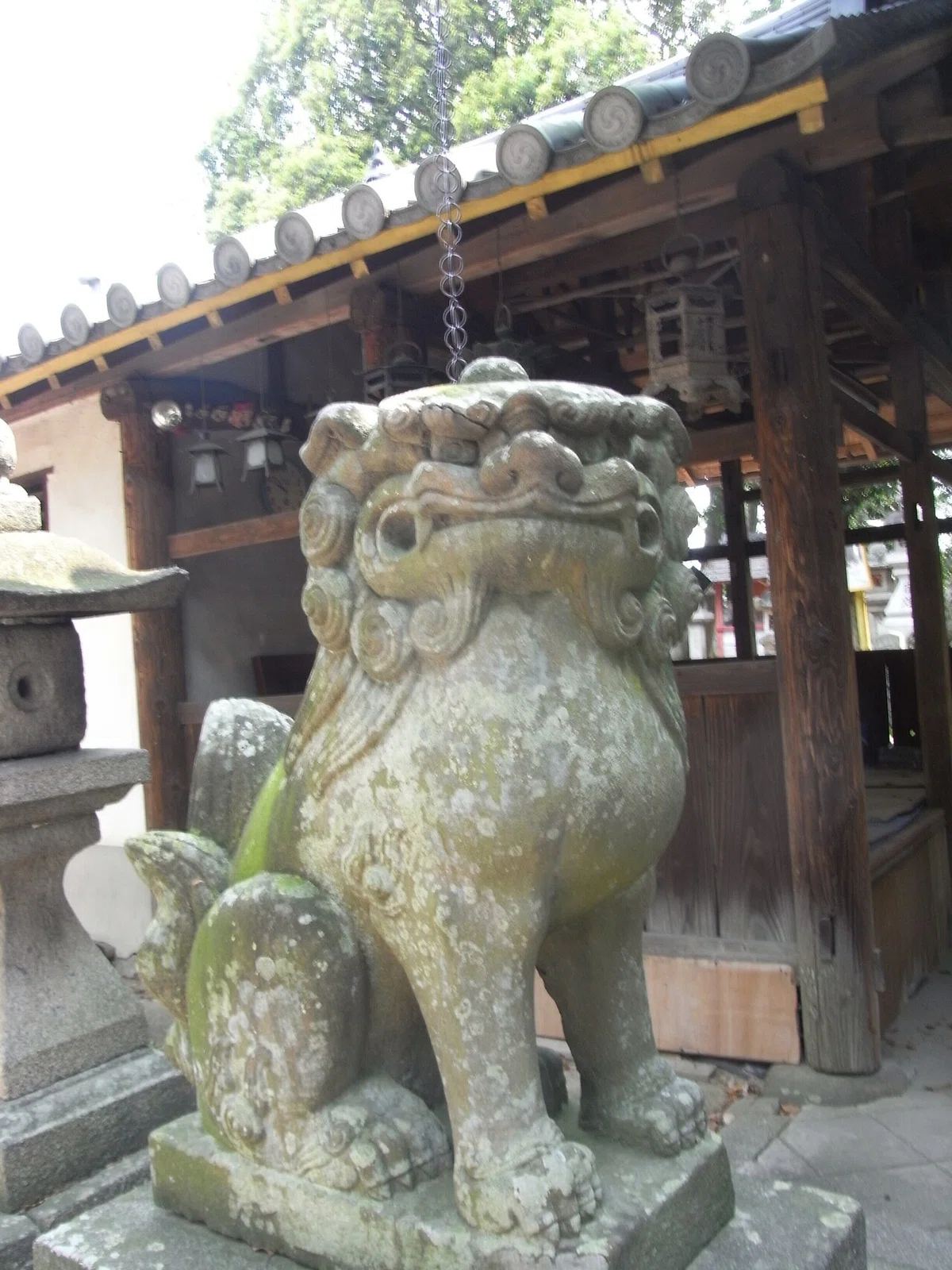 画像6