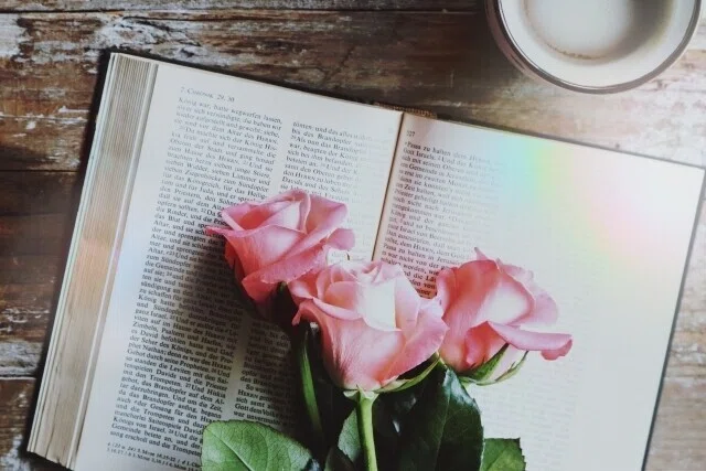 本 書く 花 薔薇 コーヒー 虹