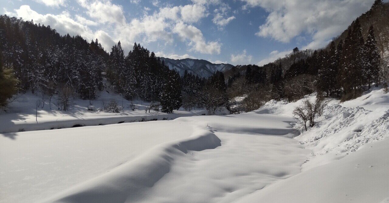 雪原の花 和泉とし Note