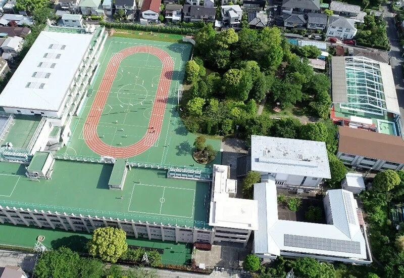 画像5