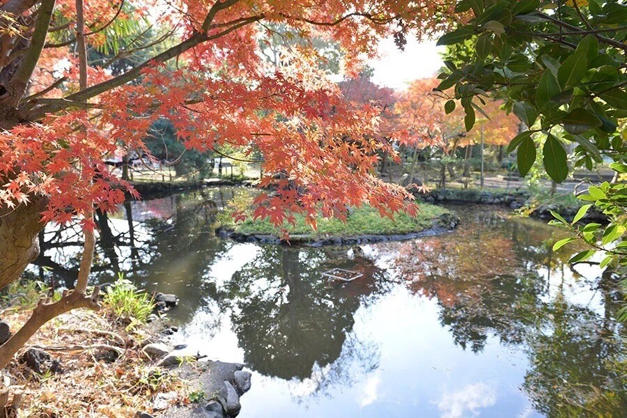画像6