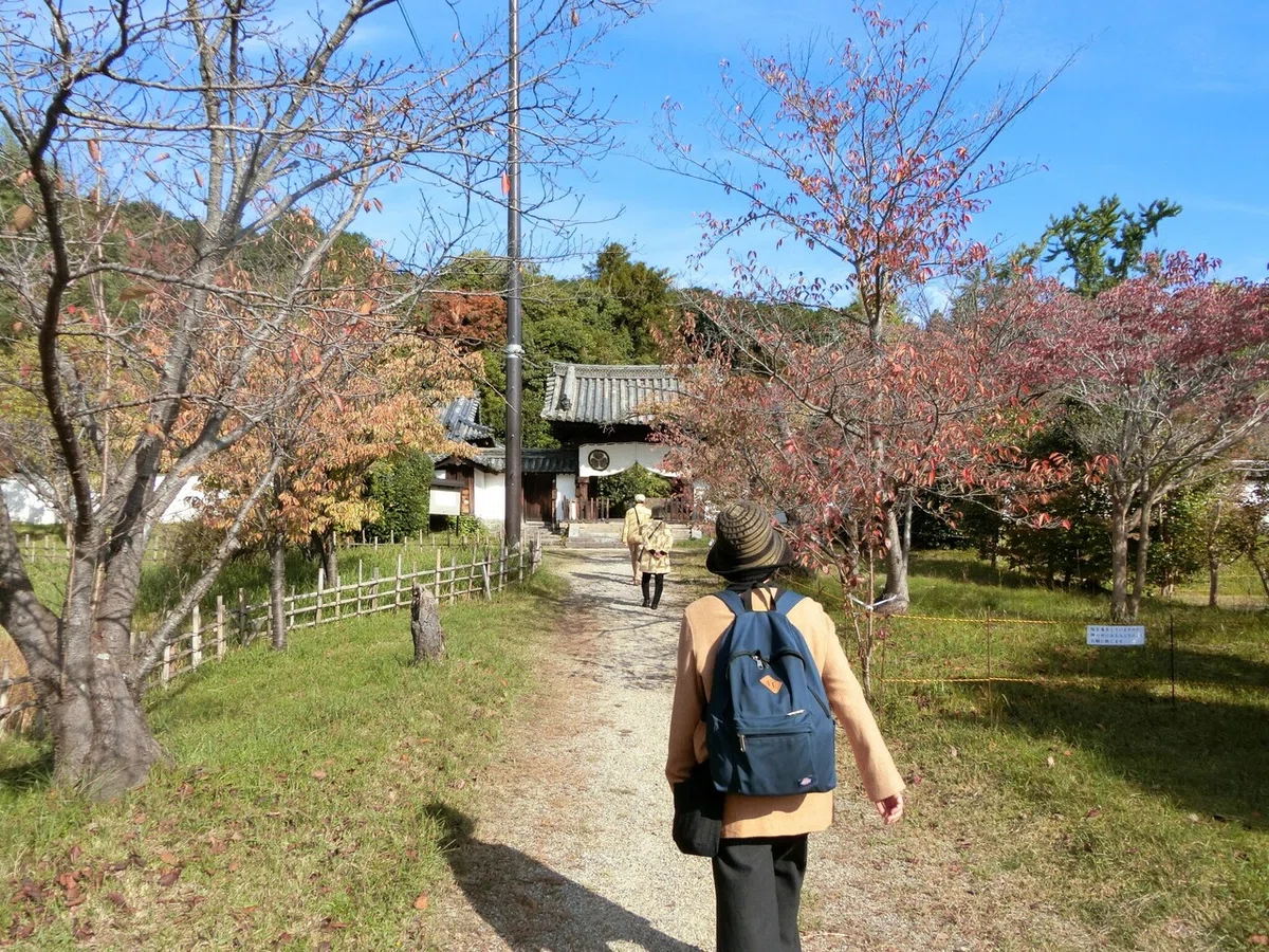 画像2