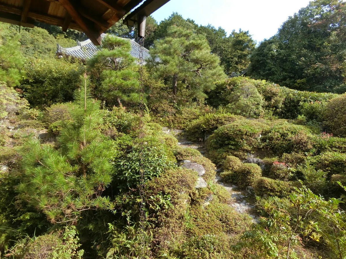 画像10