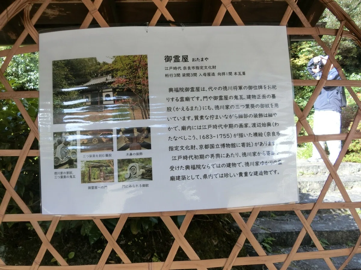 画像12