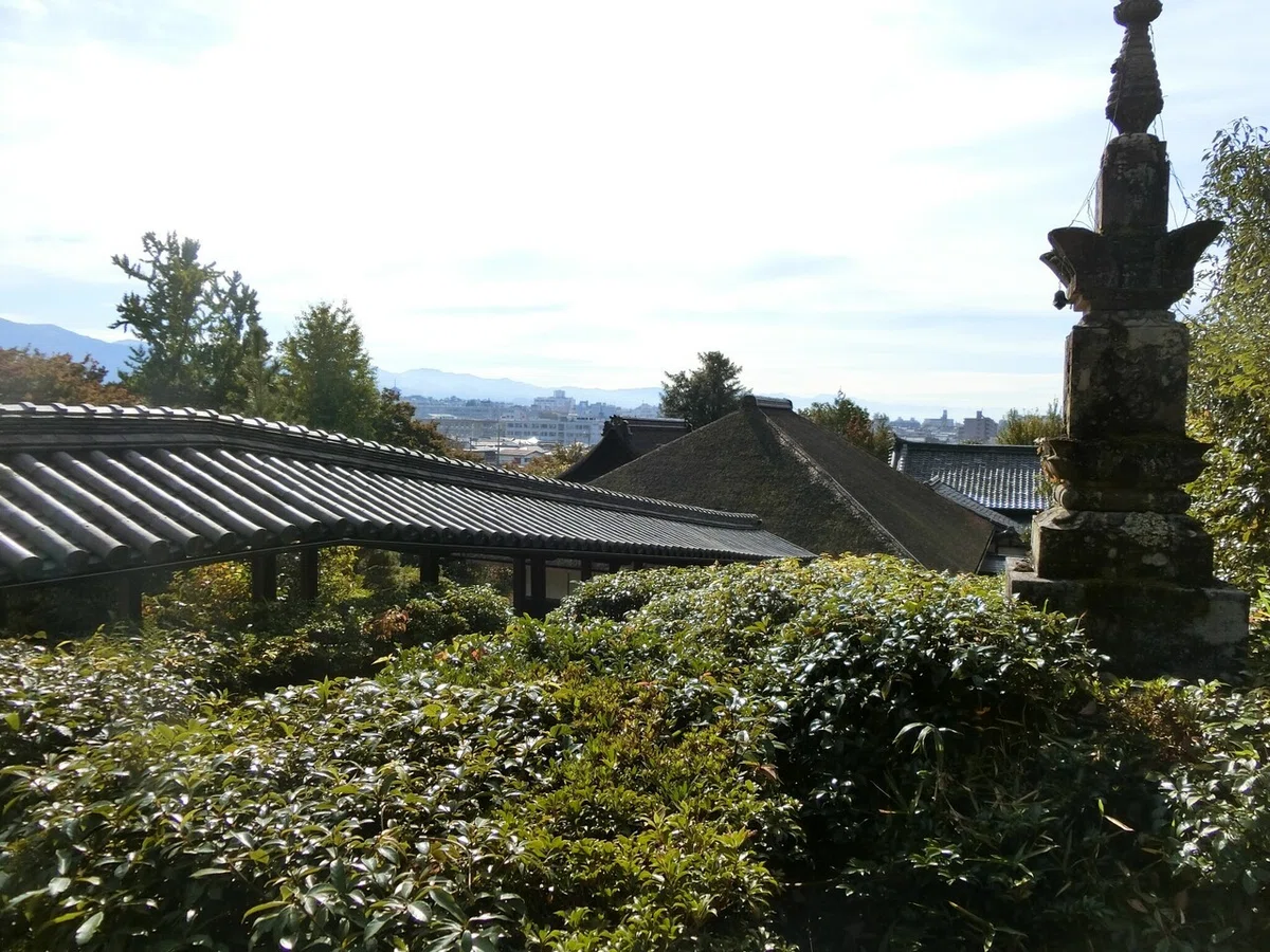 画像15