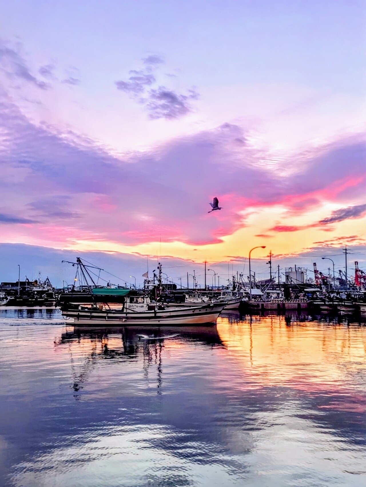 #山口県 #宇部市 #宇部港 #夕日 #漁港 #写真｜TATSUYA