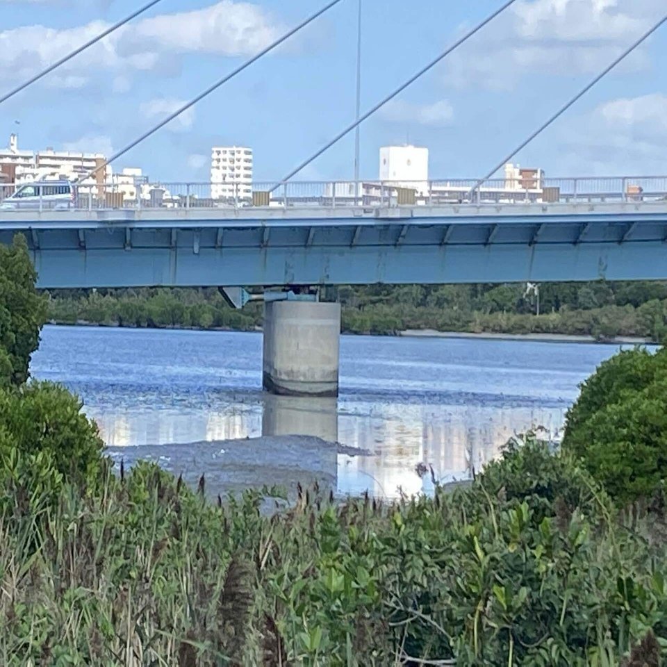 漫湖水鳥湿地センターに行ってきた 豊見城市 あーーの Note