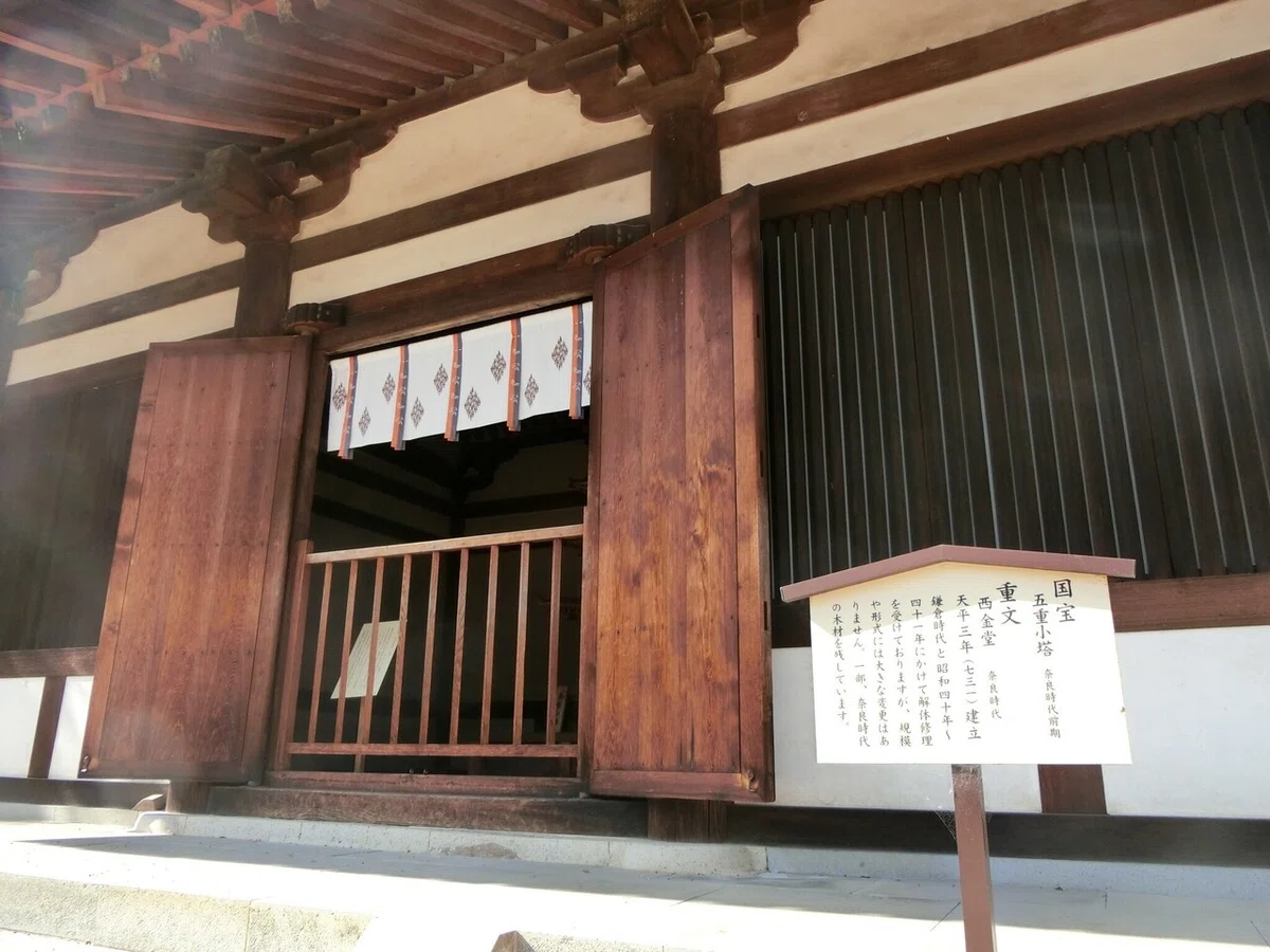 画像7