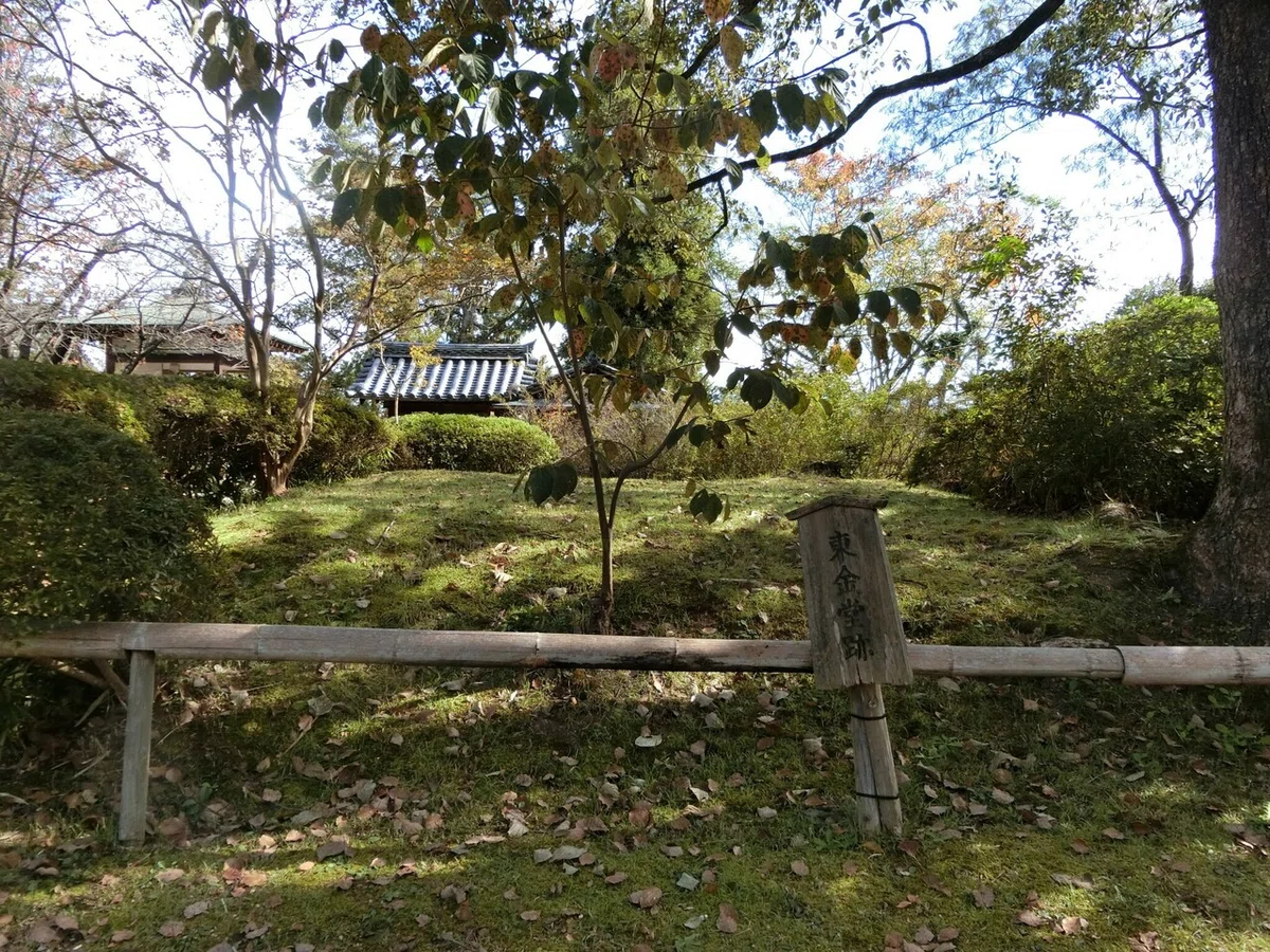 画像11