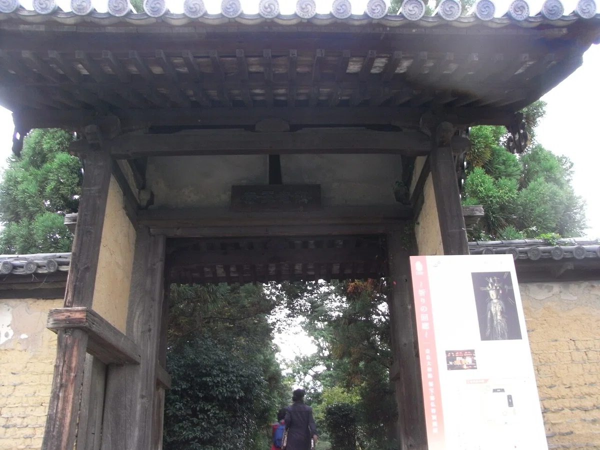 画像13