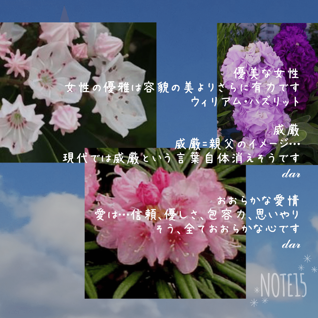 今日の花たち 2 花言葉 カルミア 優美な女性 大きな希望 野心 シャクナゲ 威厳 荘厳 危険 紫のストック おおらかな愛情 ひとこと画像 だー Note 今日の花たち 2 花言葉 カルミア 優美な女性 大きな希望 野心 シャクナゲ 威厳 荘厳 危険 紫のストック おおらかな愛情 ひとこと画像 だー Note