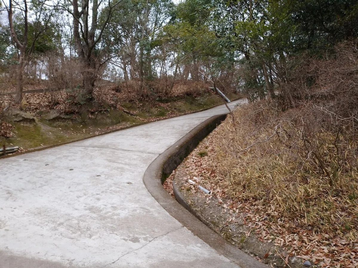 画像5