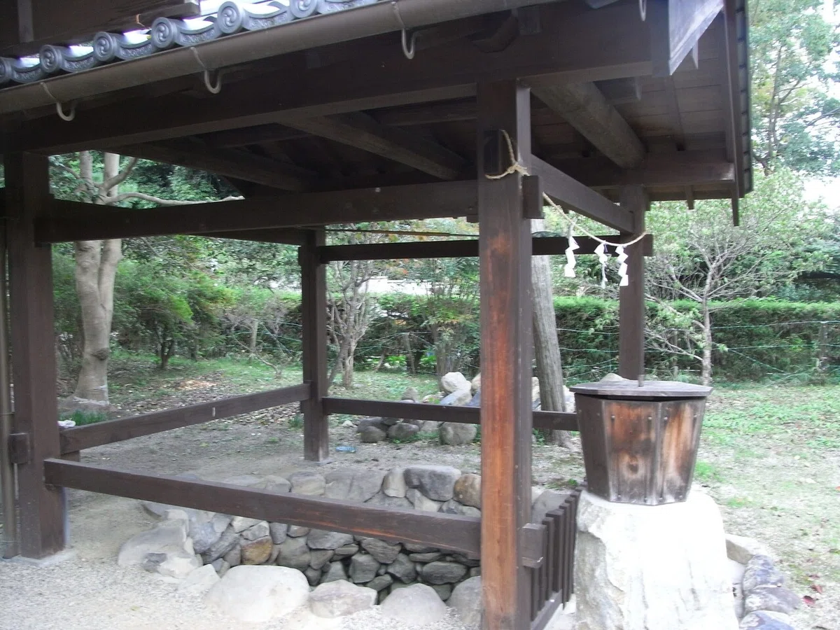 画像7