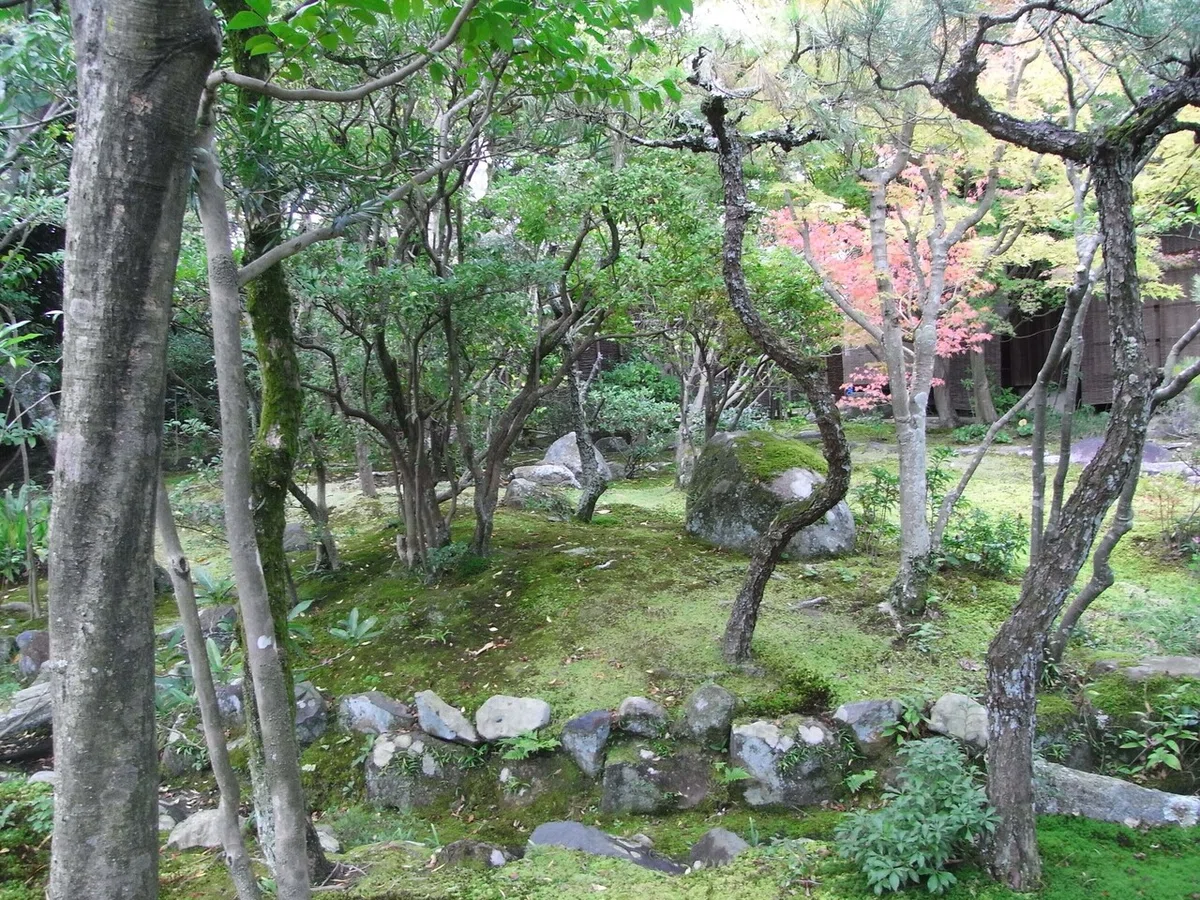 画像10