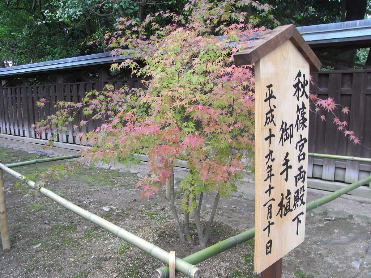 画像13