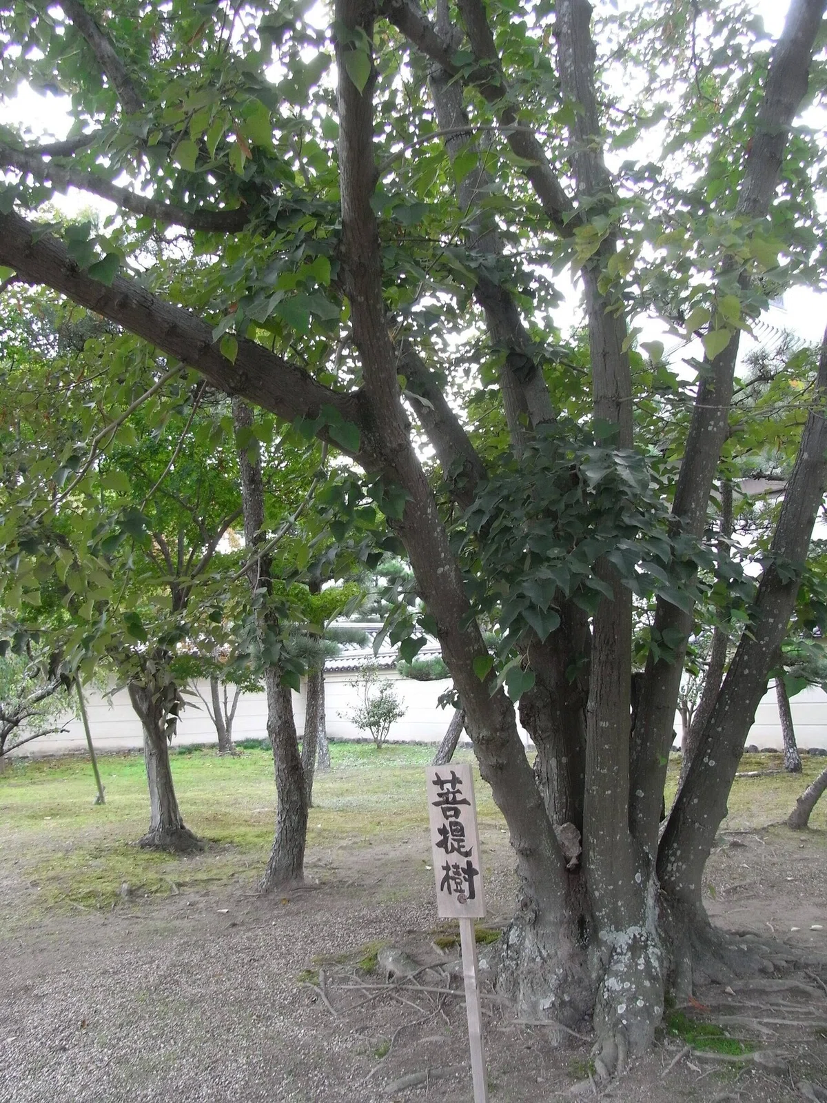 画像14