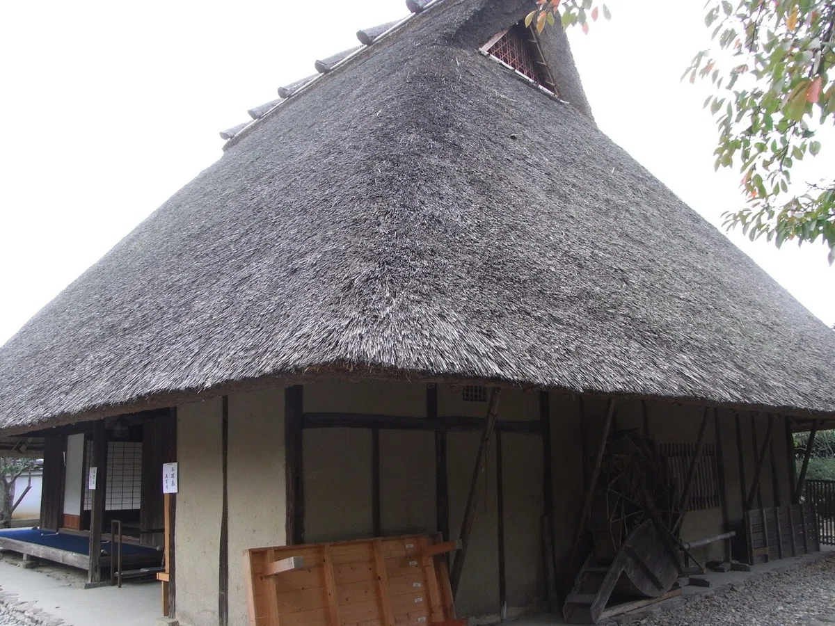 画像16