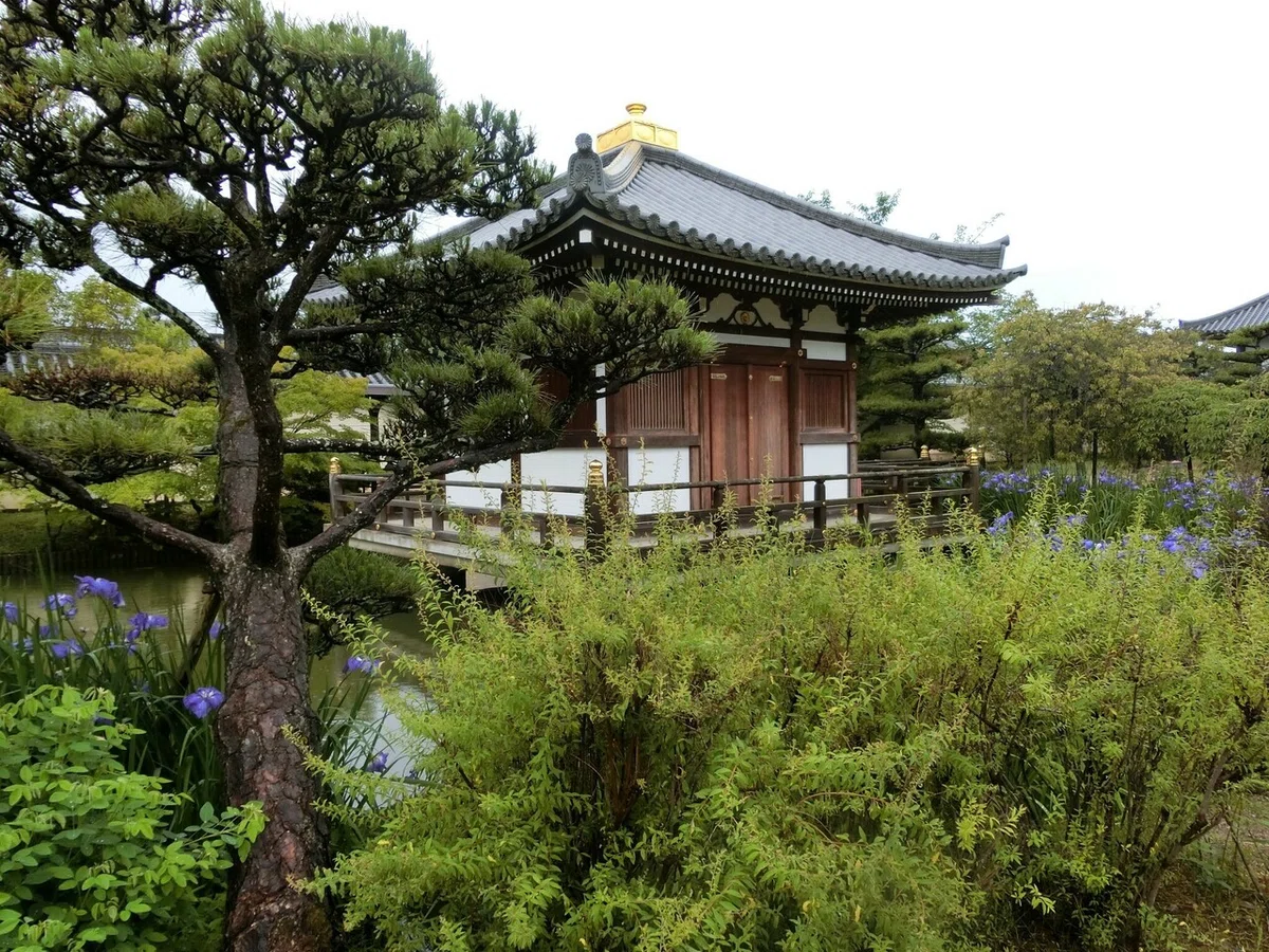 画像23