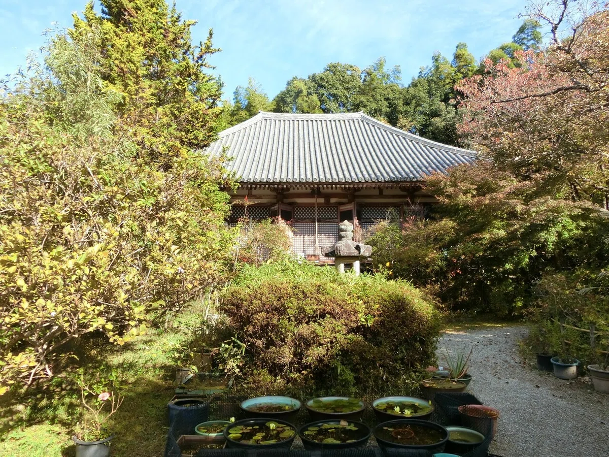 画像2
