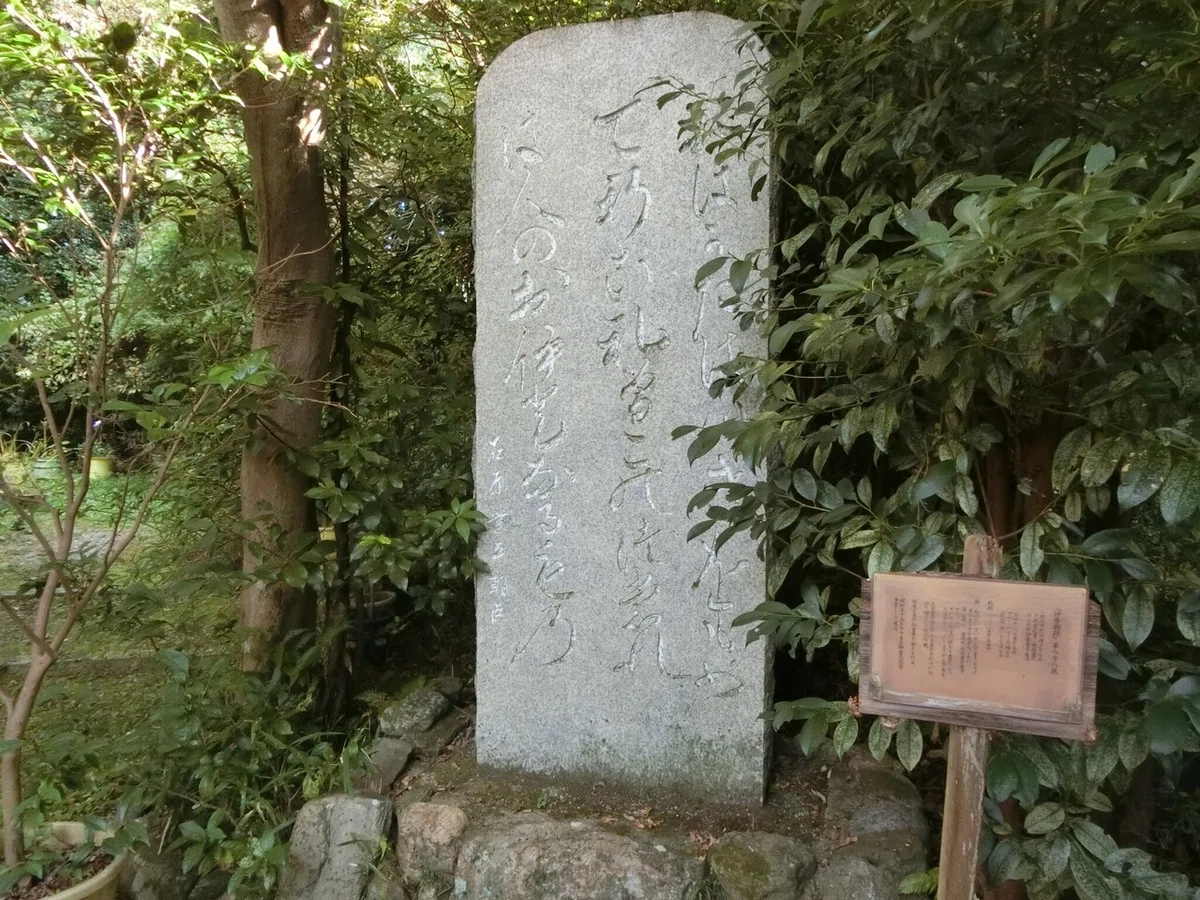 画像7