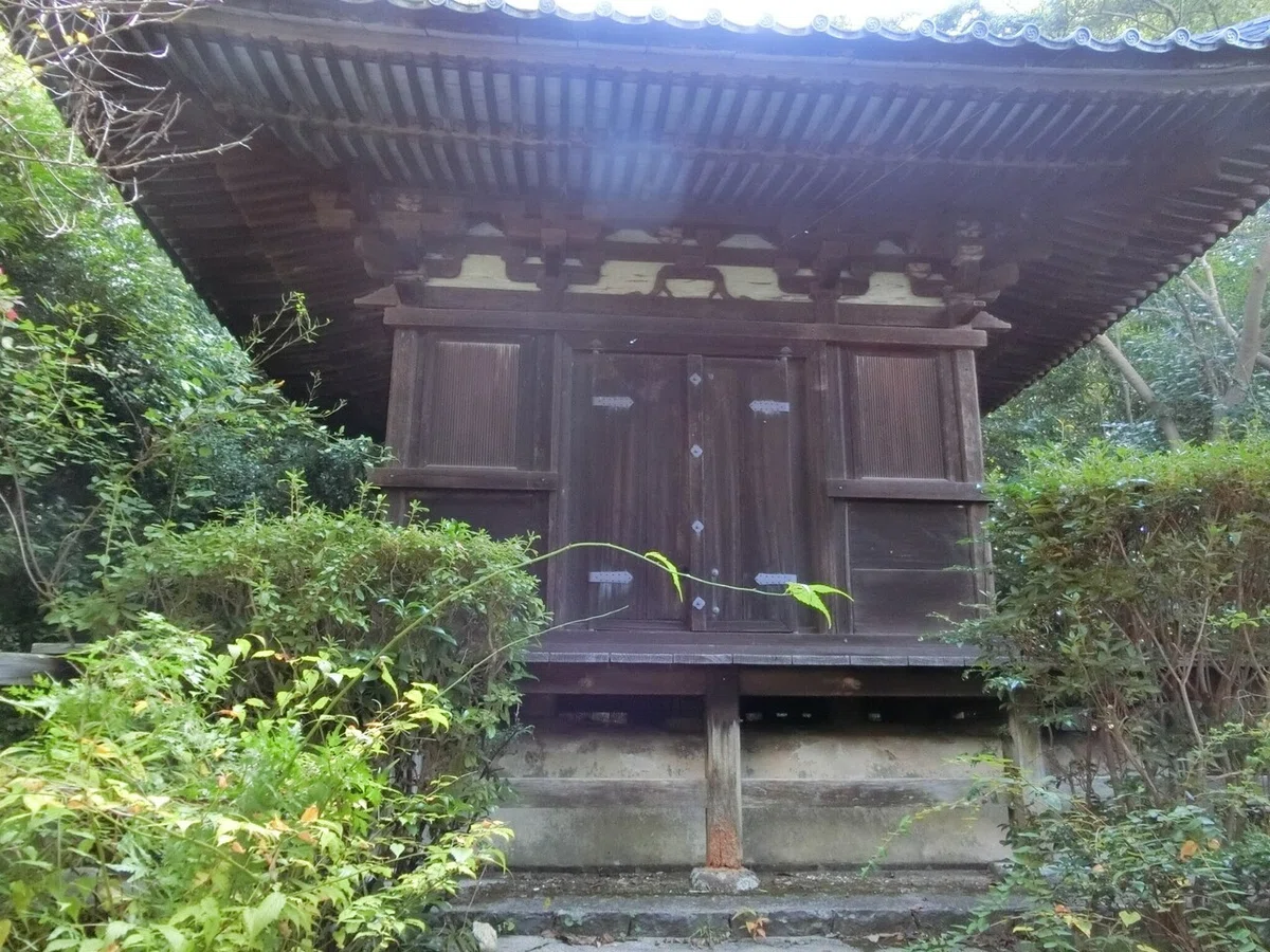 画像8