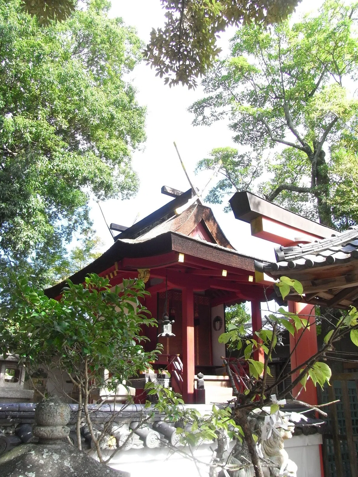 画像24