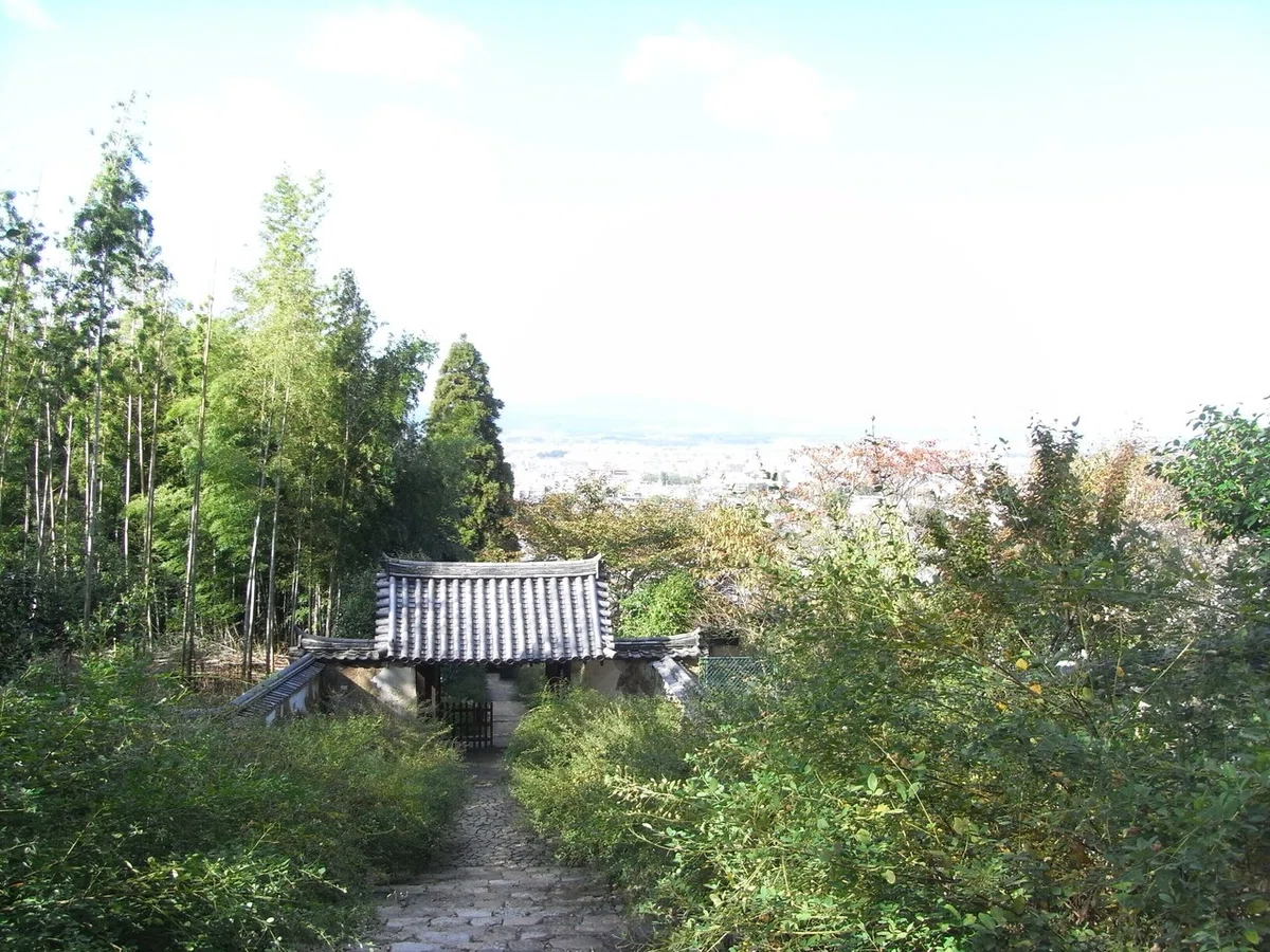 画像5